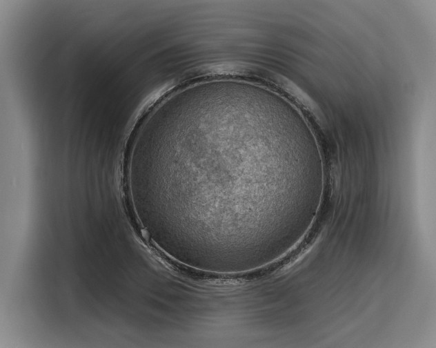 X0000116060930200911271239