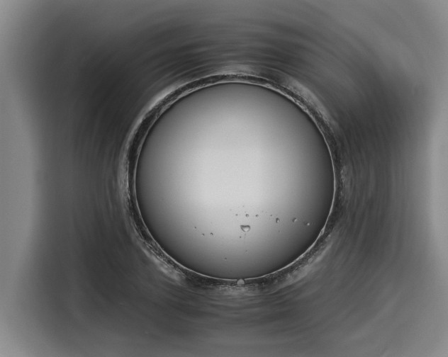 X0000116060931200911271239