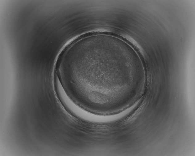 X0000116060935200911271239