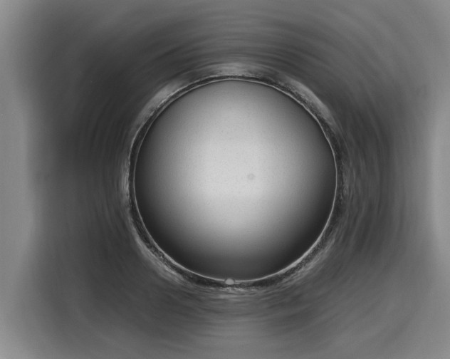 X0000116060938200911271239