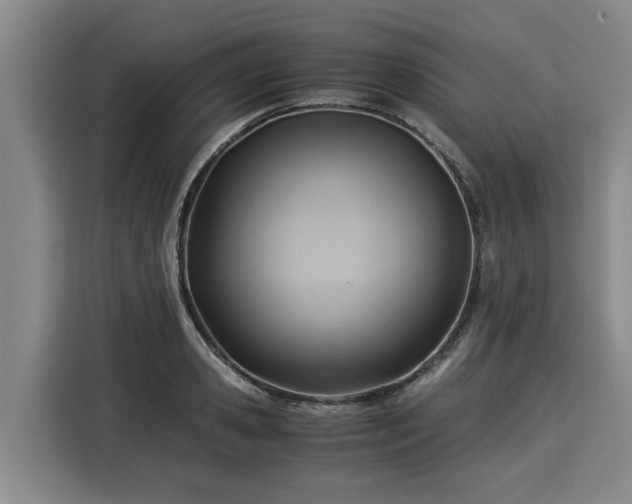 X0000116060941200911271239
