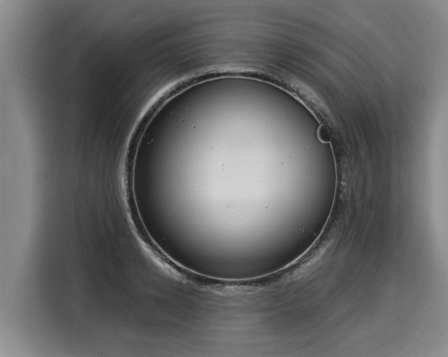 X0000116060942200911271239