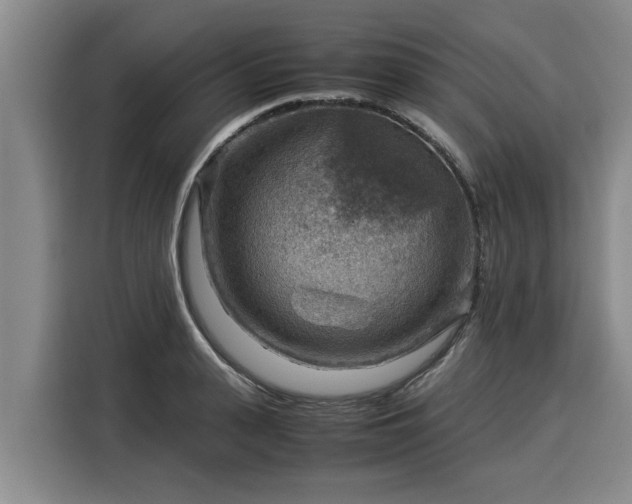 X0000116060943200911271239