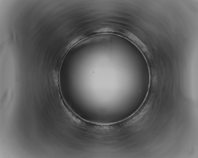 X0000116060945200911271239