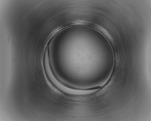 X0000116060946200911271239