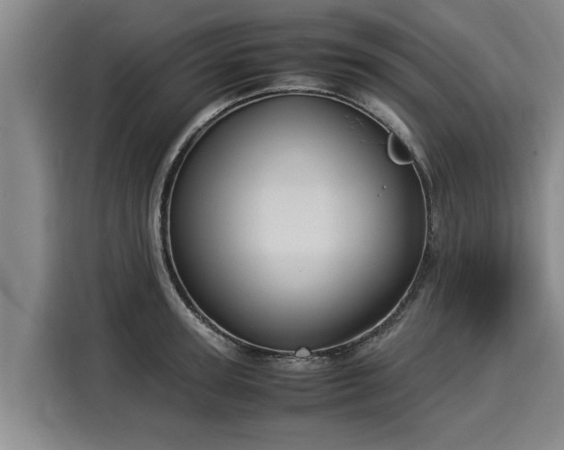 X0000116060947200911271239