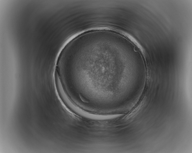 X0000116060951200911271240
