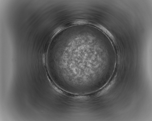 X0000116060953200911271240