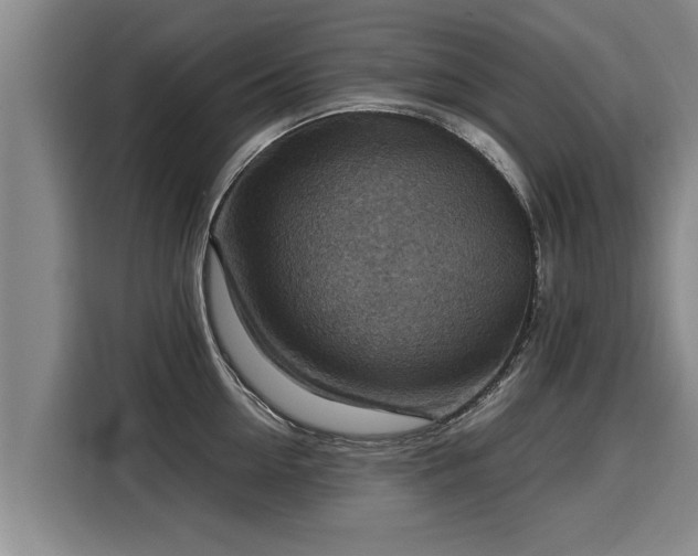 X0000116060954200911271240