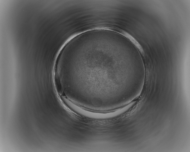 X0000116060955200911271240