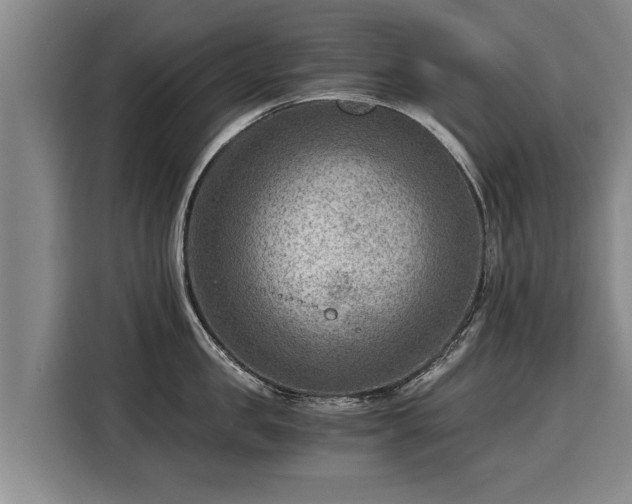X0000116060957200911271240