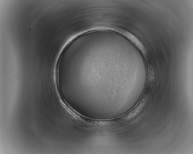 X0000116060958200911271240