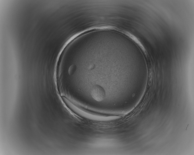 X0000116060959200911271240