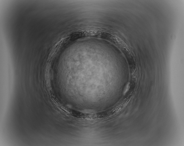 X0000116060961200911271239