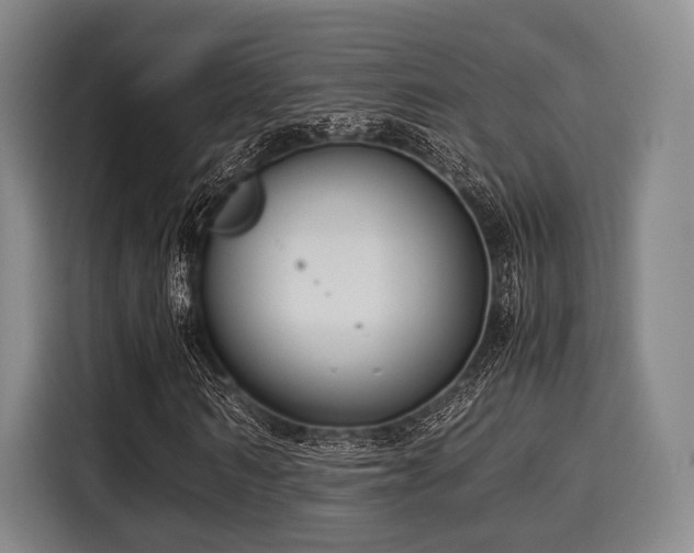 X0000116060962200911271239