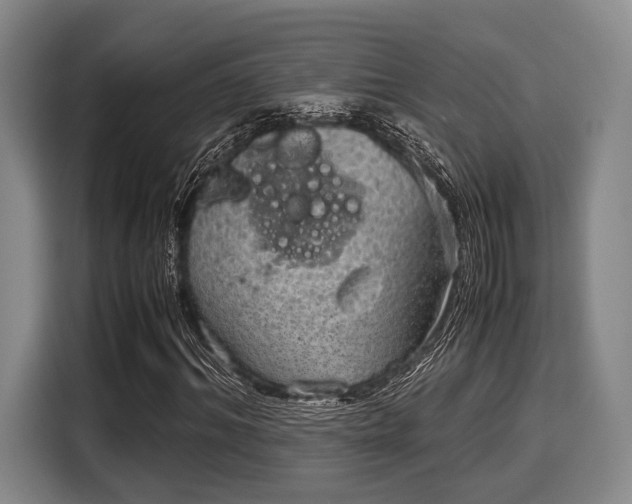 X0000116060964200911271239
