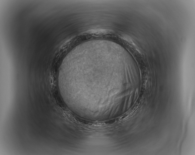 X0000116060966200911271239