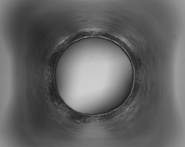 X0000116060967200911271239