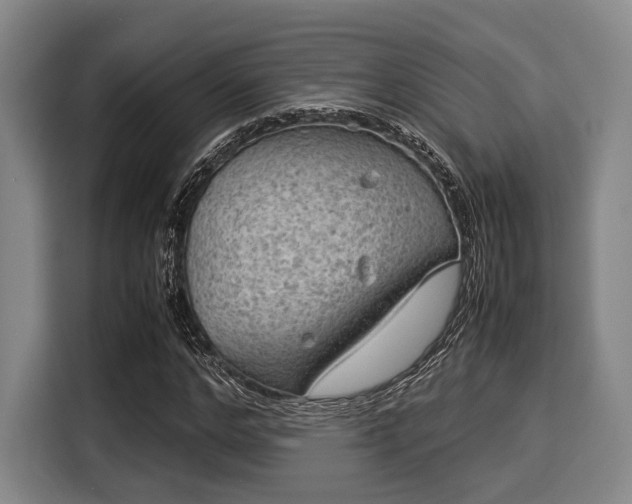 X0000116060968200911271239