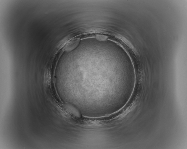 X0000116060969200911271239
