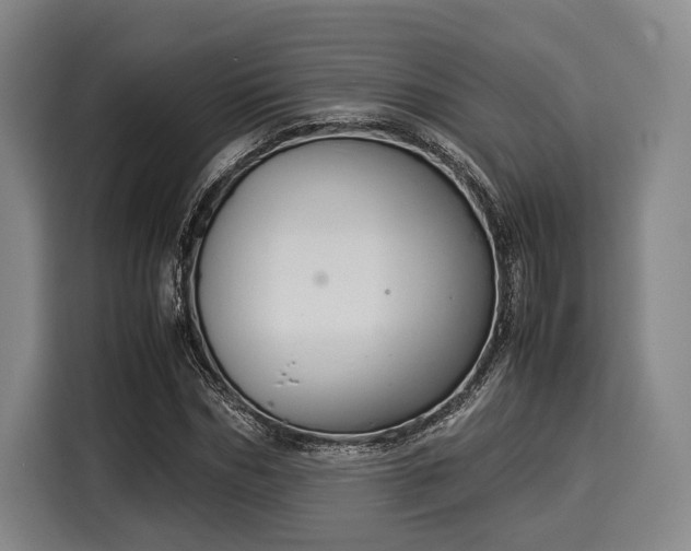 X0000116060970200911271239