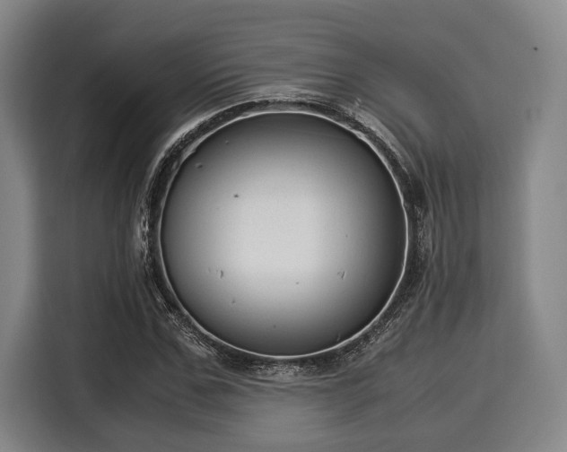 X0000116060971200911271239