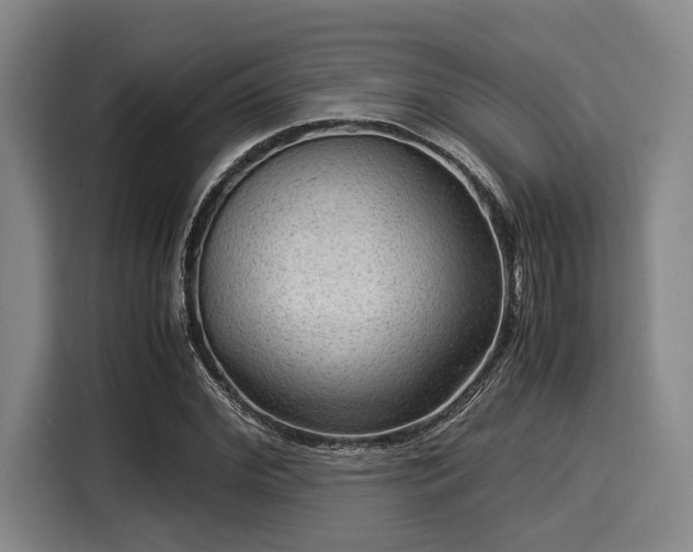 X0000116060972200911271239