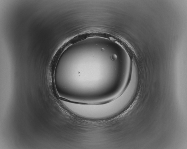 X0000116060973200911271239