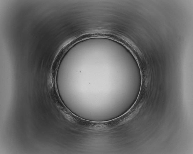 X0000116060974200911271239