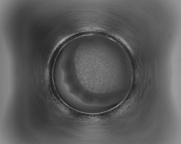X0000116060975200911271239