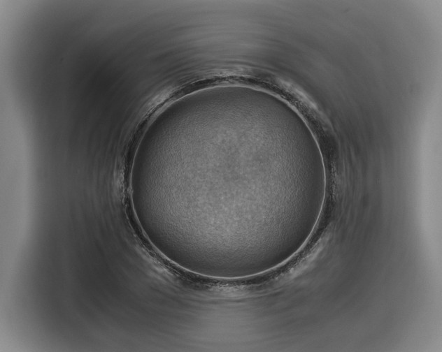 X0000116060977200911271239