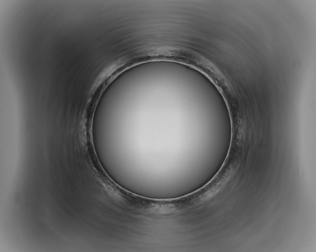 X0000116060978200911271239