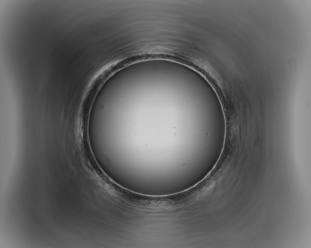 X0000116060979200911271239