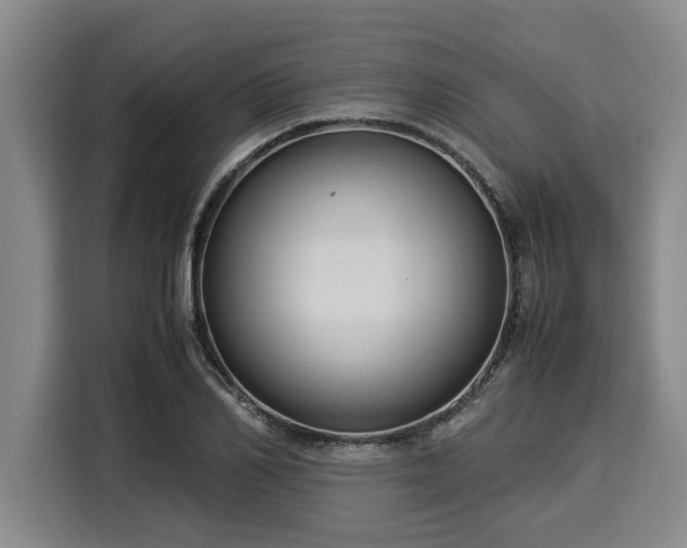 X0000116060982200911271239