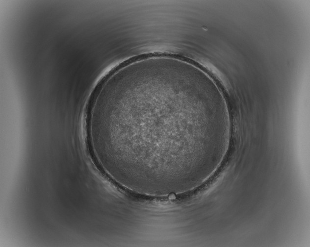 X0000116060983200911271239