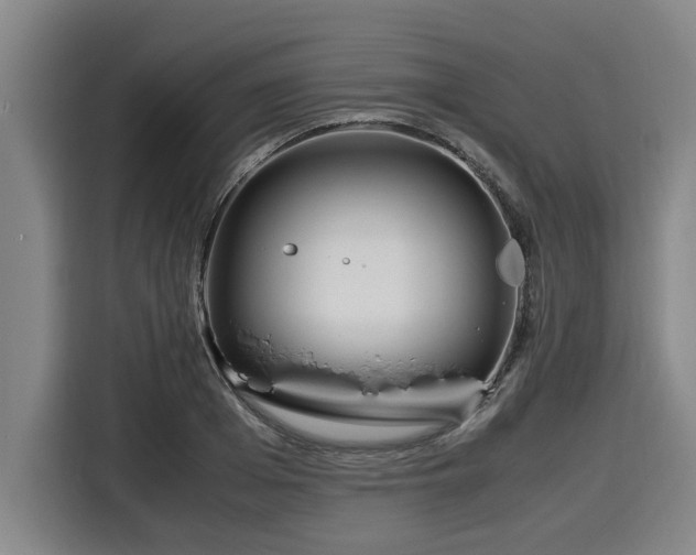 X0000116060985200911271239