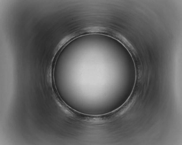 X0000116060986200911271239