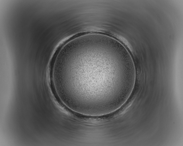 X0000116060987200911271239