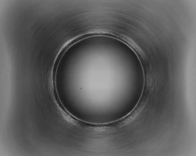 X0000116060988200911271239