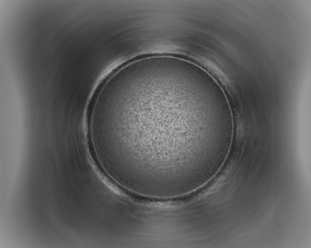 X0000116060990200911271239