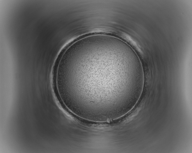 X0000116060991200911271239