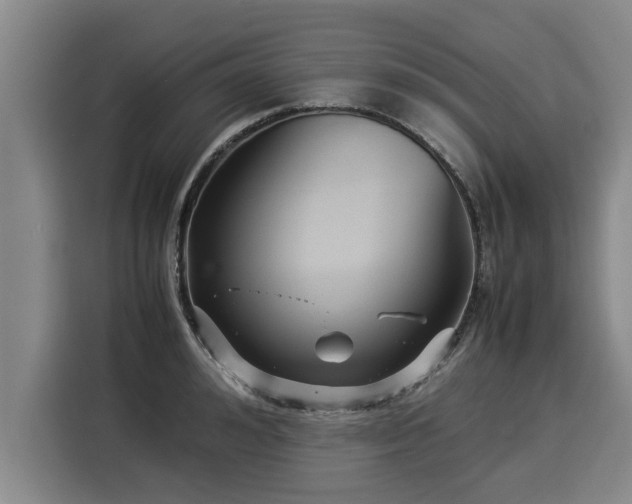 X0000116060992200911271239