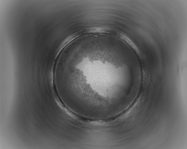 X0000116060994200911271239