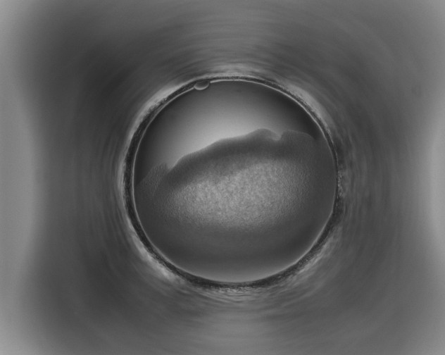 X0000116060995200911271239