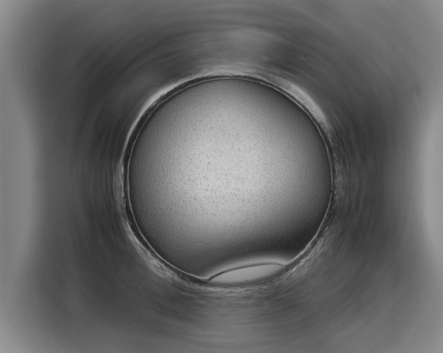 X0000116060996200911271239