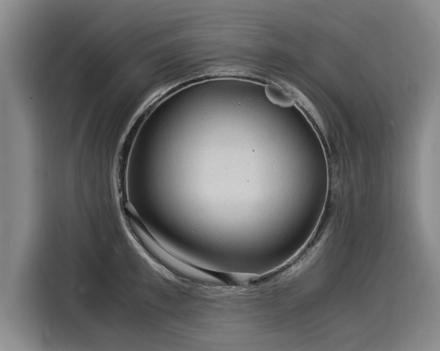 X0000116060997200911271239