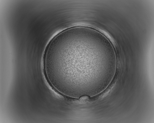 X0000116060999200911271239