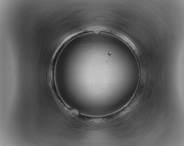 X0000116061000200911271238