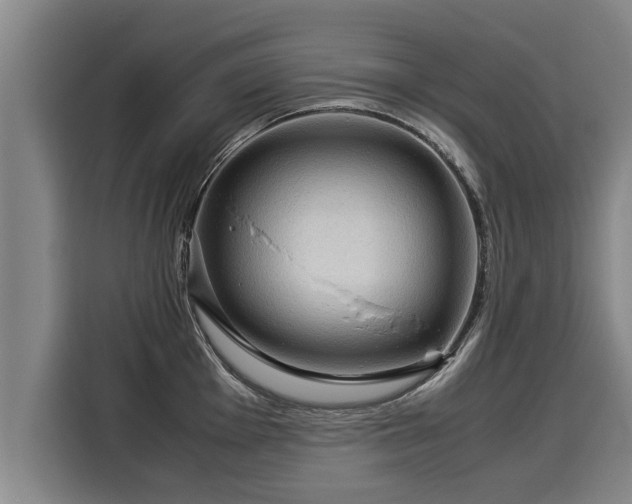 X0000116061001200911271238