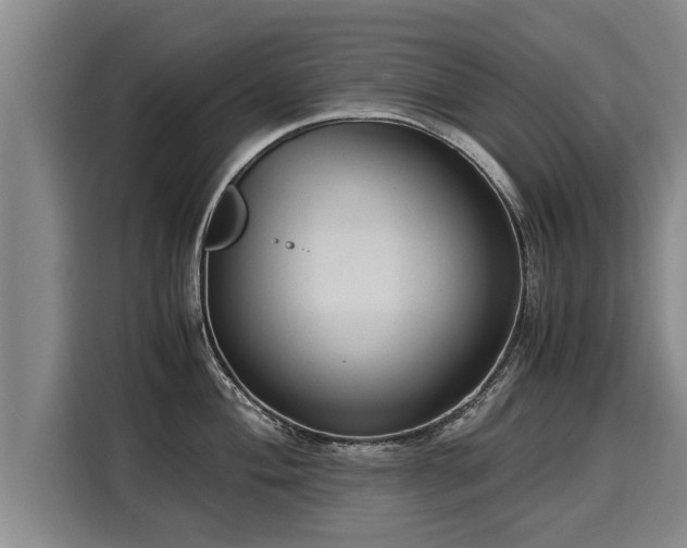 X0000116061004200911271238